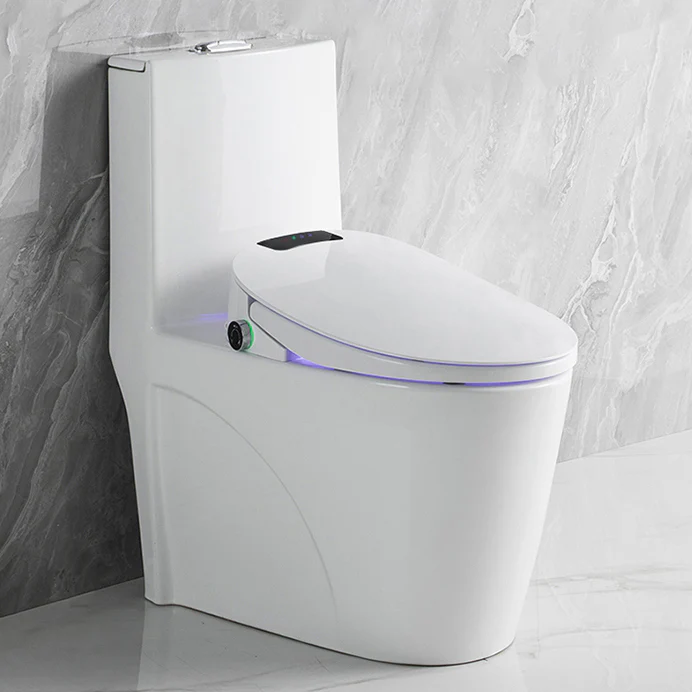 Intellectra Smart Toilet